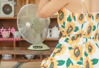 梦丝女神 – 丝袜合集，苏柔在轻声细语中的分享