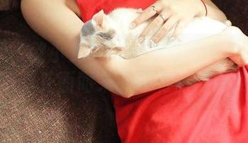 青豆客 – 歆小兔chobits私房图包：她的女孩气息扑面而来，还有点小俏皮哦！